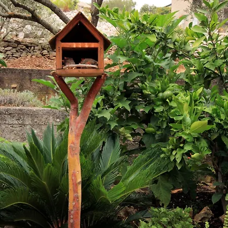 By The Sea Prigradica, Korcula - 9140 * Blato (Korcula)